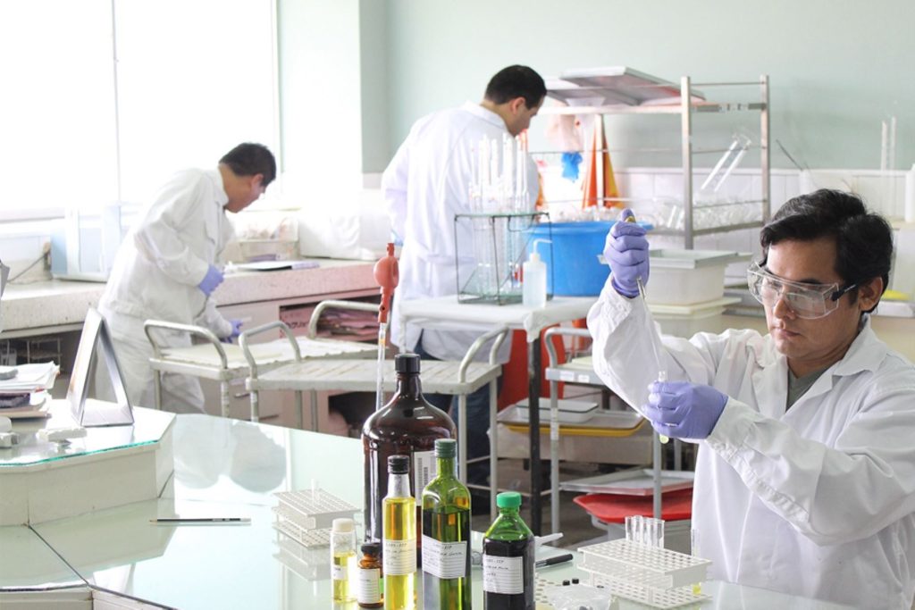 Investigación